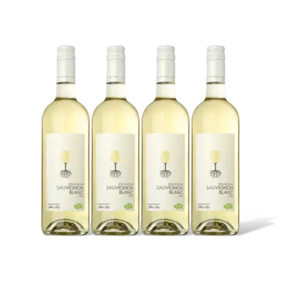 pdp-image-AH Biologisch Sauvignon blanc 4 flessen