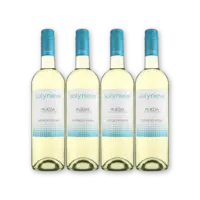 Sol y Nieve Verdejo-Viura 4 flessen