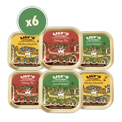 pdp-image-Lily's Kitchen Classic dinners diverse smaken 6-pack
