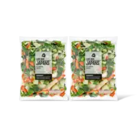 AH Luxe wok Japans sojabonen wortel 2-pack