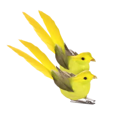pdp-image-AH Vogels op clip geel