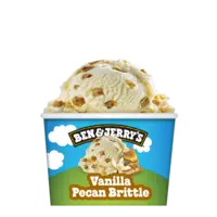 Ben & Jerry's Vanilla pecan brittle