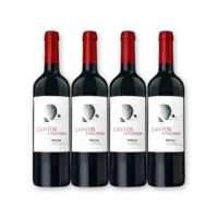 Finca Valdepiedra Cantos 4 flessen