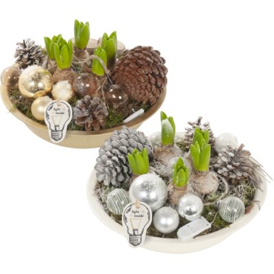 pdp-image-AH Kerstarrangement in schaal