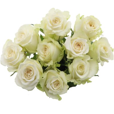 pdp-image-AH Roos wit