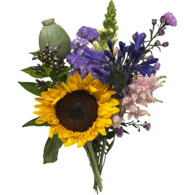 pdp-image-AH Voorjaarsbloemen