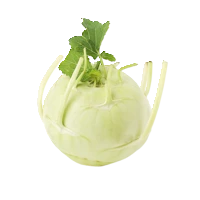 AH Koolrabi
