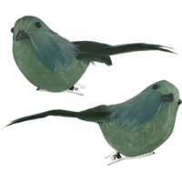 Een afbeelding van AH Excellent Vogeltje op clip groen