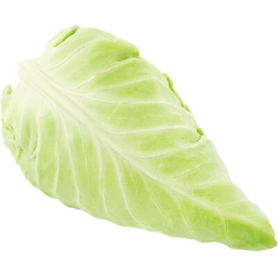 pdp-image-AH Biologisch Spitskool