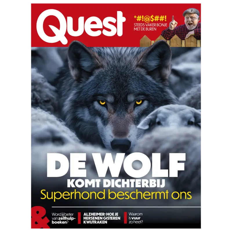  Quest