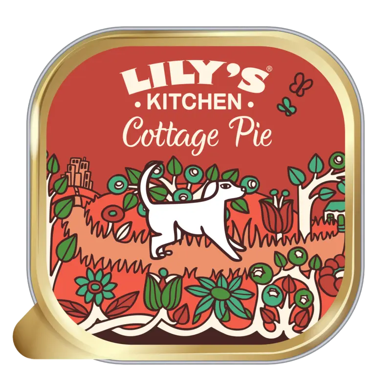 Cottage pie met rund