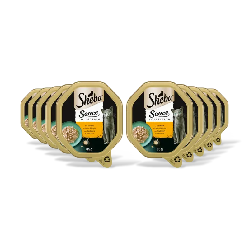 Mini filets met kalkoen in saus 10-pack
