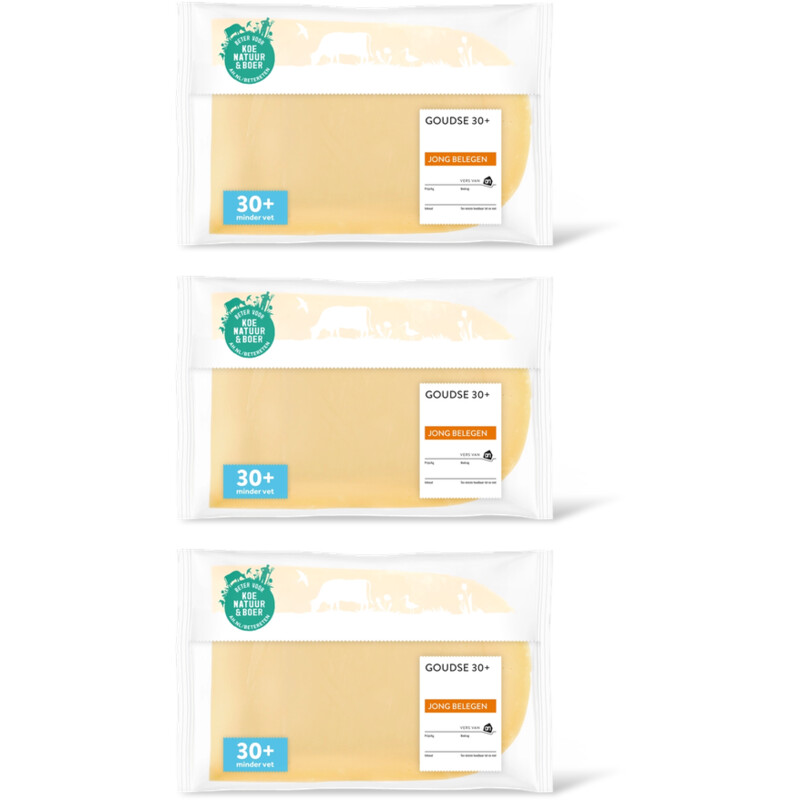 AH Goudse jong belegen 30+ plakken 3-pack