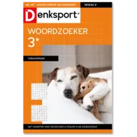 Dsp 3* woordz vakantieboek