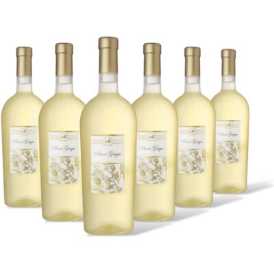 pdp-image-Ulisse Pinot Grigio 6 flessen