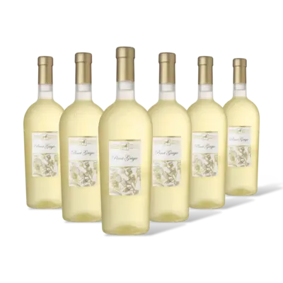 pdp-image-Ulisse Pinot Grigio 6 flessen