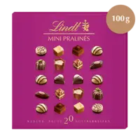 Lindt Mini pralines chocolade