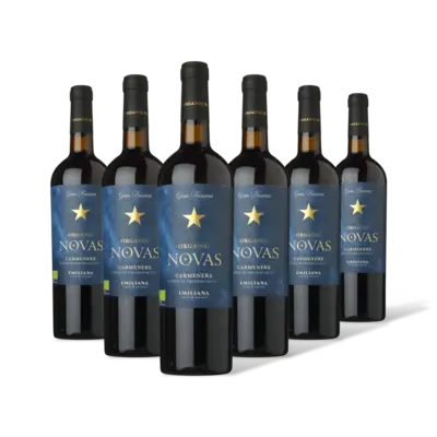 pdp-image-Novas gran reserva organic wine 6 flessen