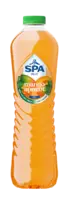 Spa Fruit mango apricot