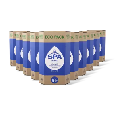 pdp-image-Spa Reine Ecopack 5l 10-pack