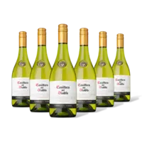 Casillero del Diablo Chardonnay reserva 6 flessen