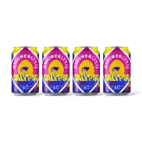 Brouwerij 't IJ Calypso 4-pack