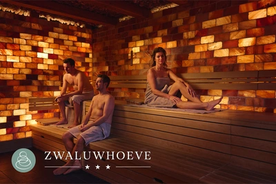 pdp-image-VDS Zwaluwhoeve dagentree