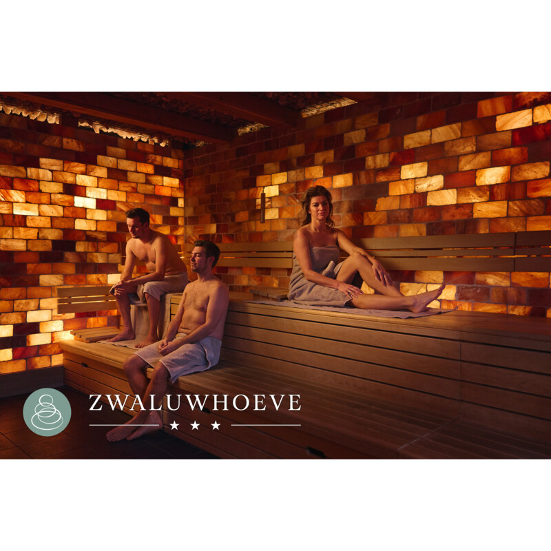VDS Zwaluwhoeve dagentree