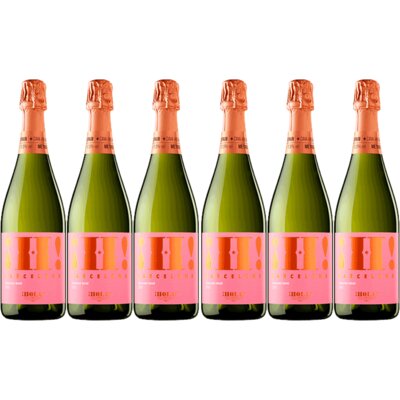 pdp-image-Hola! Barcelona organic rosé cava 6 flessen
