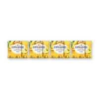 S. Pellegrino Limonata light 6-pack 4-pack