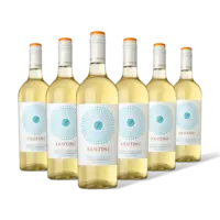 Fantini Pecorino 6 flessen