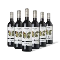 Castaño Monastrell organic 6 flessen