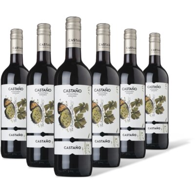 pdp-image-Castaño Monastrell organic 6 flessen