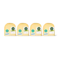AH Zaanlander Jong 48+ stuk kleintje 4-pack