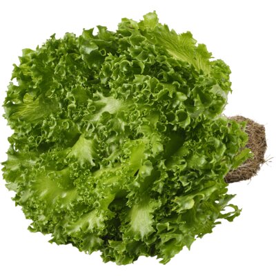 pdp-image-AH Crispy green sla