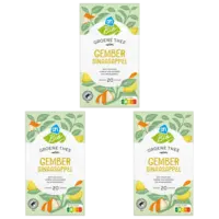 AH Biologisch Groene thee gember sinaasappel 3-pack