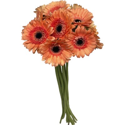 pdp-image-AH Germini mini