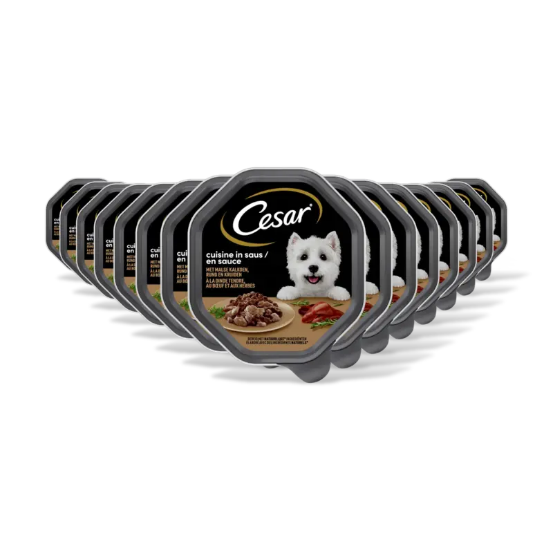 Cuisine met kalkoen & rund in saus 15pk
