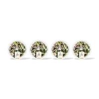 AH Stoommaaltijd truffel tapenade 4-pack