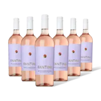 Fantini Puglia Rosato 6 flessen