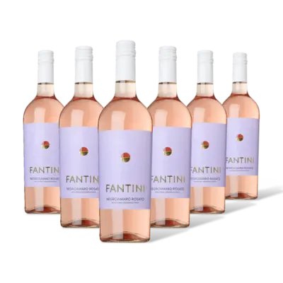 pdp-image-Fantini Puglia Rosato 6 flessen
