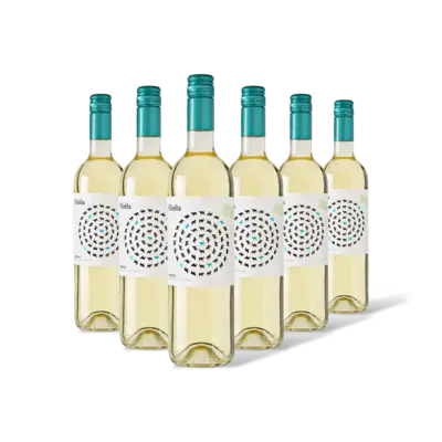 pdp-image-Mesta Verdejo organic wine 6 flessen