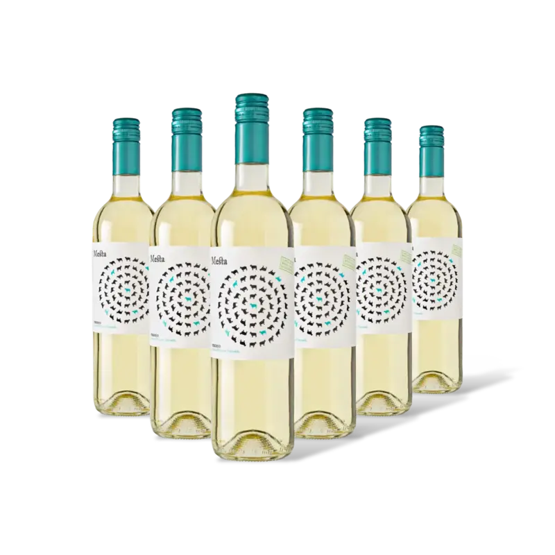 Verdejo organic wine 6 flessen