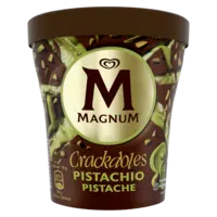 Magnum Pistache pint