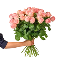 AH Roze rozen x25