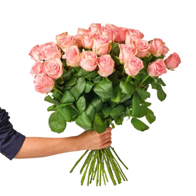 pdp-image-AH Roze rozen x25