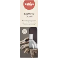 Bolsius Geurverspreider true scents oud wood