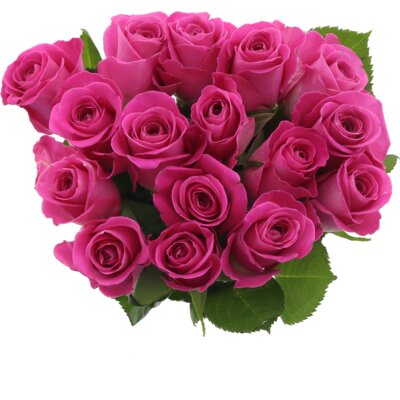 pdp-image-AH Megabos rozen