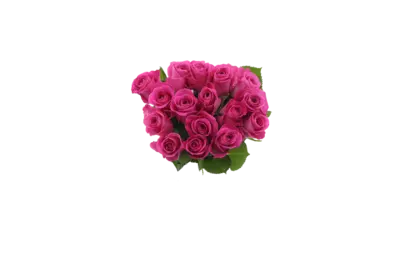 pdp-image-AH Megabos rozen