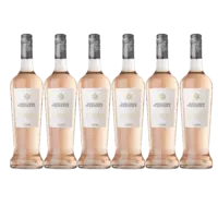 Saint Louis De provence rose 6 flessen